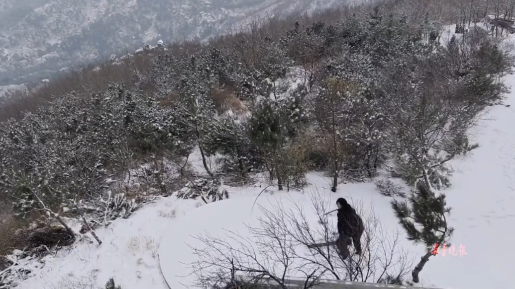 果然视频|沂山林场再迎降雪