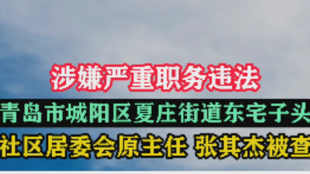 琴视频｜城阳区夏庄街道东宅子头社区居委会原主任张其杰被查