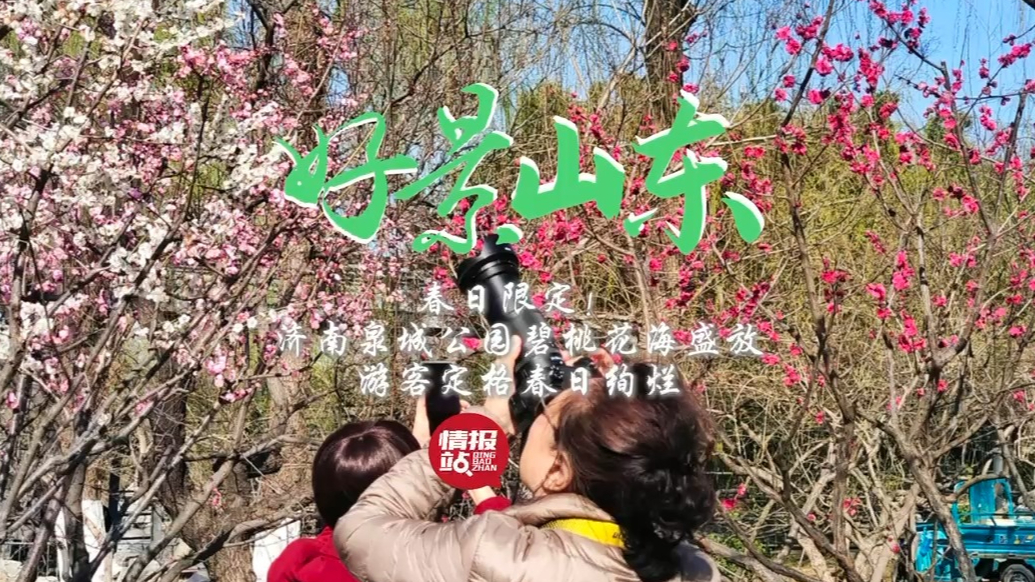 果然视频·好景山东|泉城公园碧桃花海盛放，游客定格春日绚烂