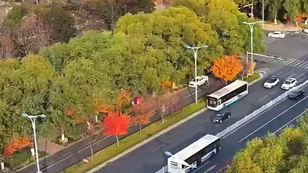果然视频丨日照市东港区：一个来了就不想走的地方