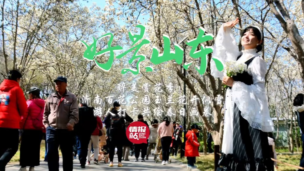 果然视频·好景山东|百花公园玉兰花似雪，游人打卡共绘春日画卷