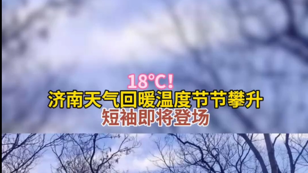 天气情报站|18℃！济南天气回暖温度节节攀升，短袖即将登场