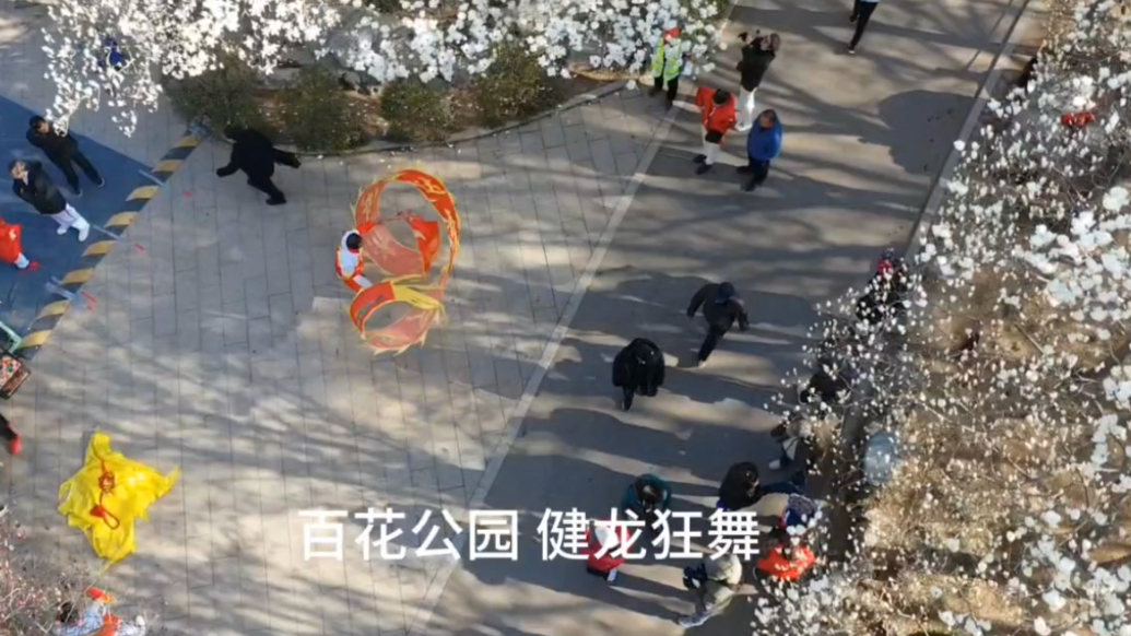 果然视频 | 百花公园，花下舞龙