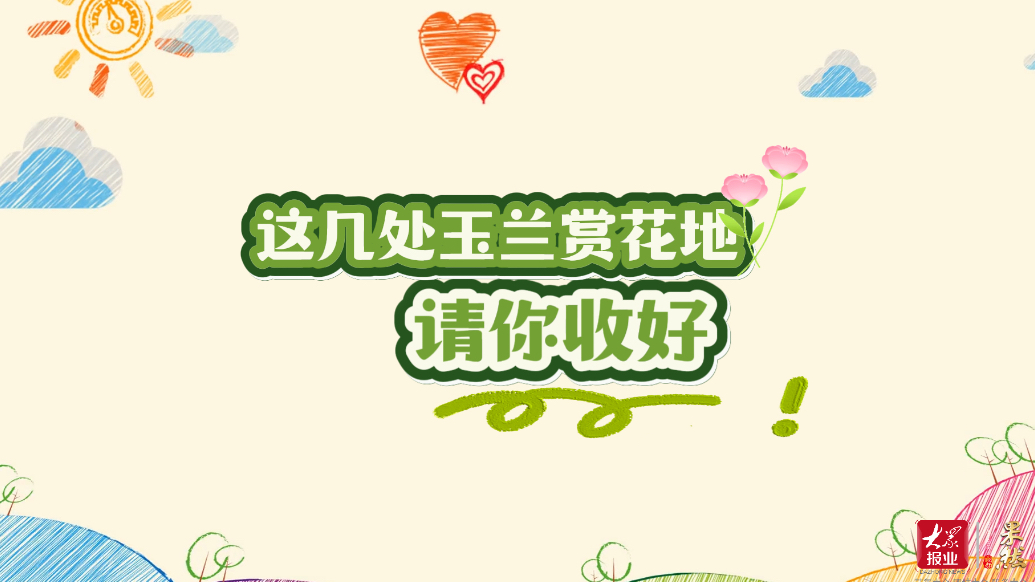 果然视频｜百花公园、趵突泉人太多？这几处玉兰赏花地请收好！