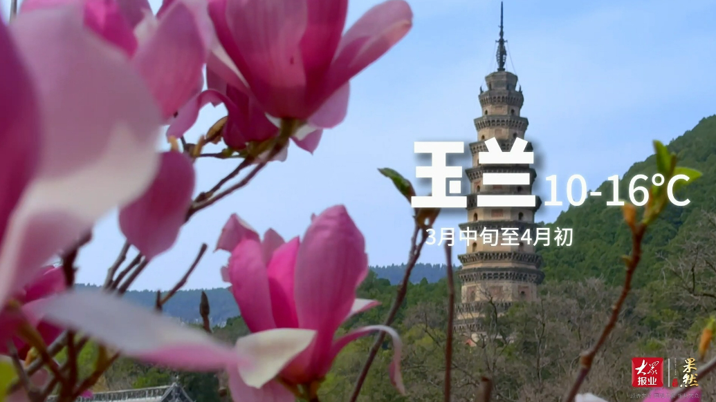 果然视频|不要错过！灵岩寺春季赏花预告来啦