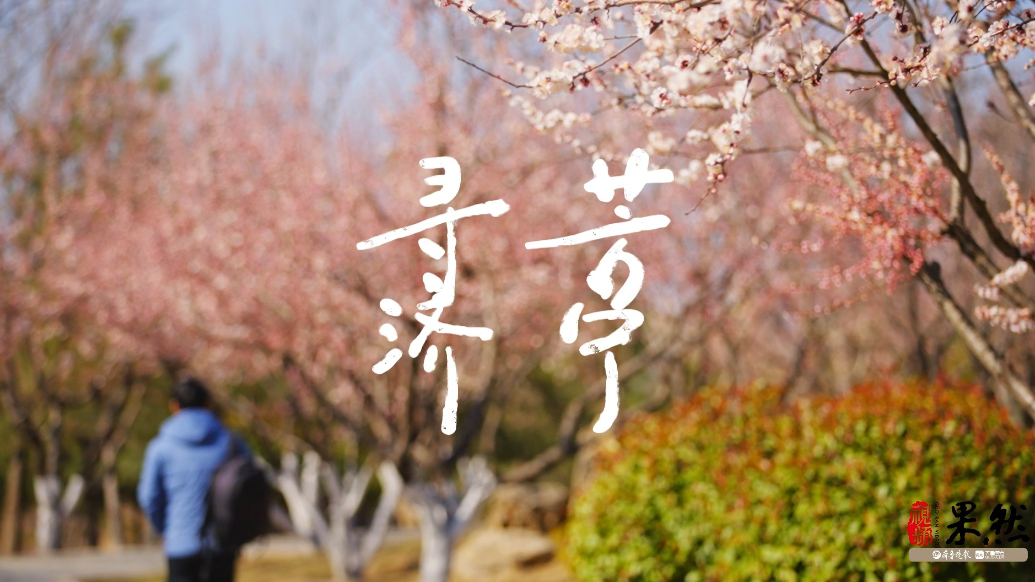 果然视频丨寻芳济宁，去花间漫步