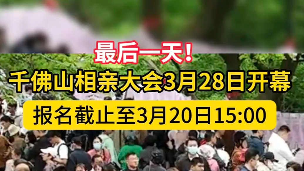 果然视频|仅剩最后一天！千佛山相亲会今日下午3时报名截止