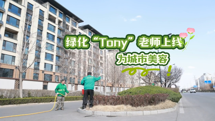 绿化“Tony”老师上线！ 为城市美容