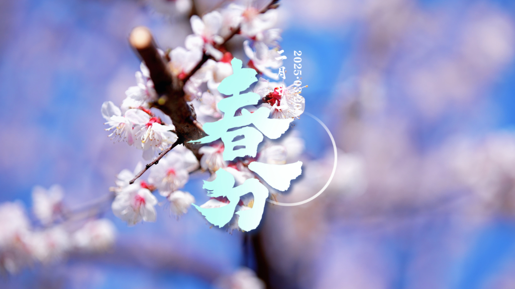 果然视频|时令·春分