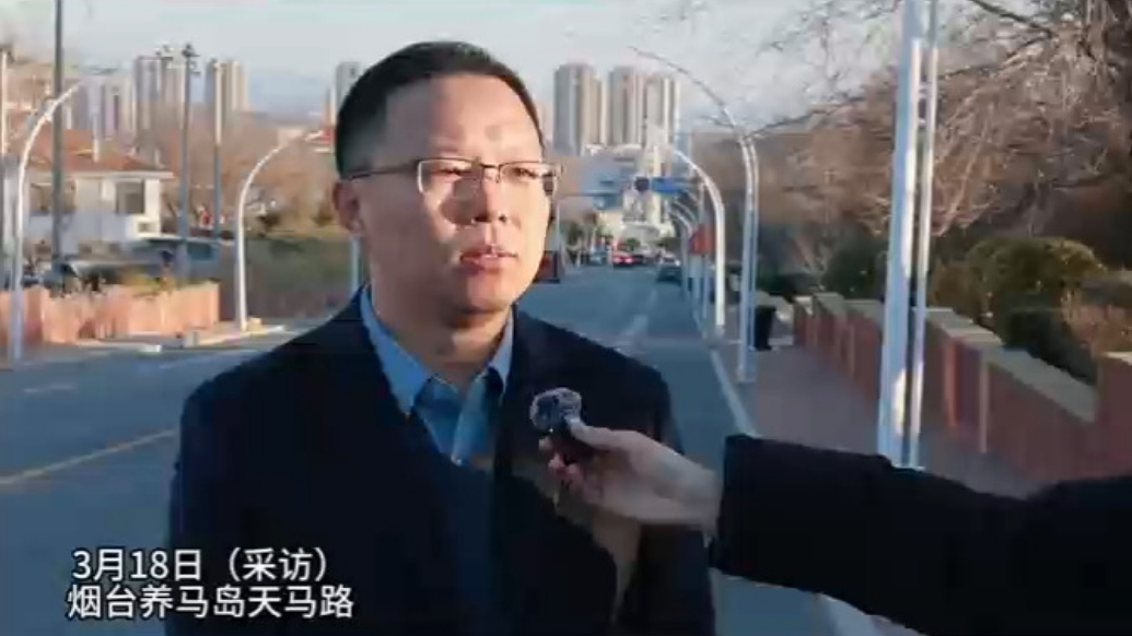 果然视频｜天马路将进行景观升级，提高烟台版“苍洱大道”出片率