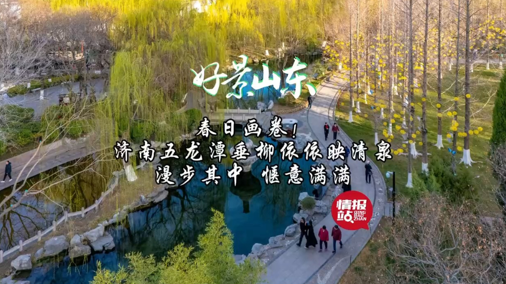 果然视频·好景山东|济南五龙潭垂柳依依映清泉，漫步其中好惬意