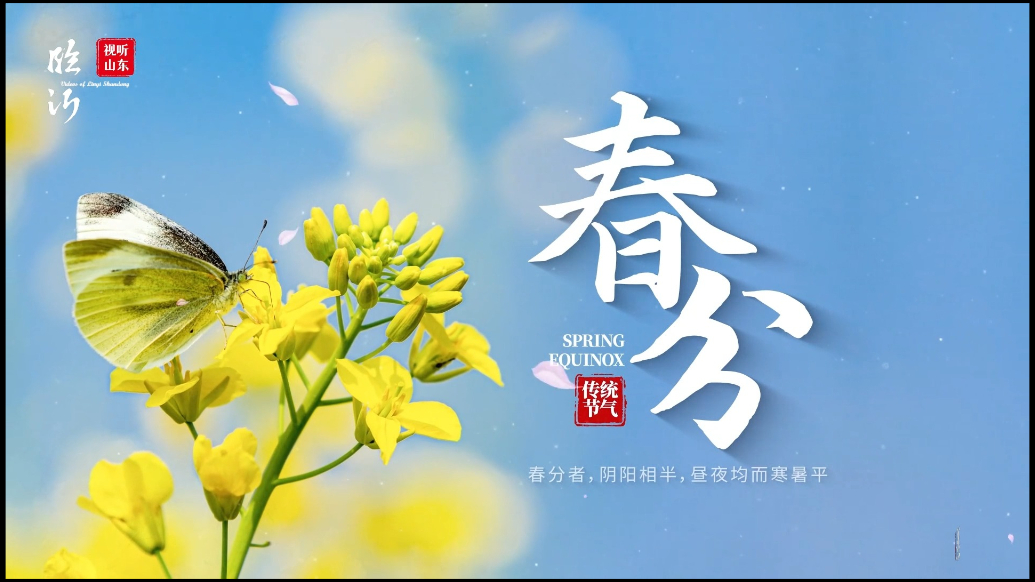 视听山东·临沂丨品质河东：春分麦起身，一刻值千金