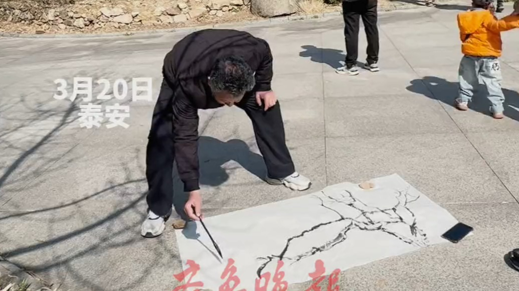 果然视频｜泰山梅园杏花盛开，大爷现场挥笔作画