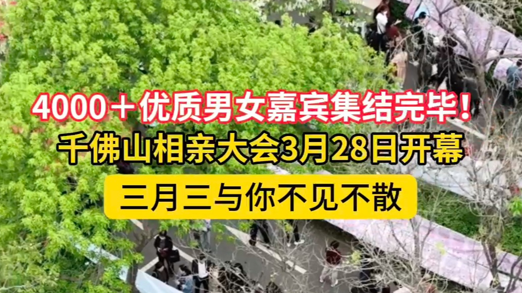果然视频|4000+优质单身就位！3月28日千佛山相亲会等你