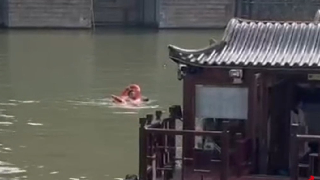 果然视频|刚到苏州不足半小时，淄博男子跳河救起落水小伙