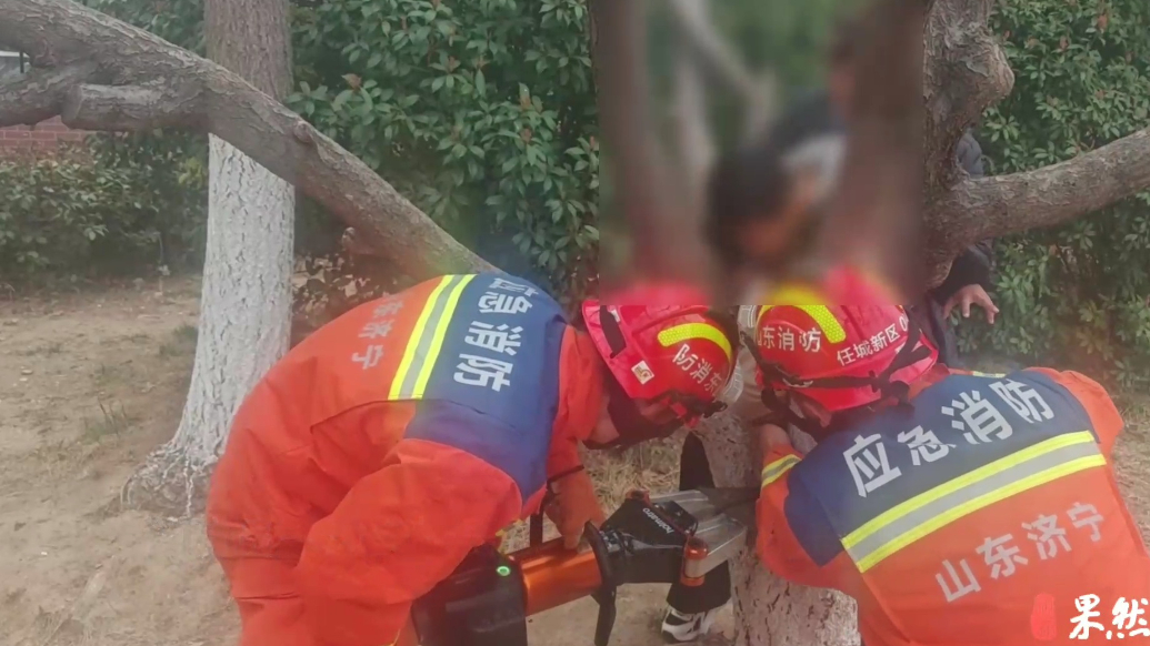果然视频|男孩不慎腿卡树杈空隙中，消防员五分钟帮其脱困