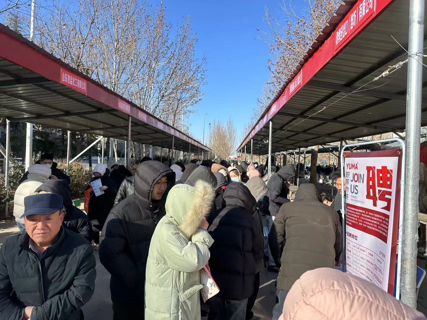 潍坊推出特色系列公共就业服务活动，促进高质量就业发展