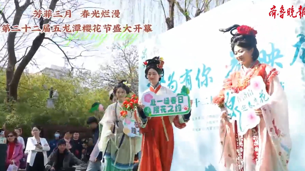 果然视频|济南五龙潭樱花节启幕，那些有趣又有韵味的场景