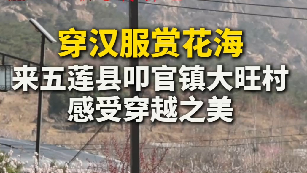 果然视频丨来锦绣五莲，沉浸式体验宋代婚礼仪式
