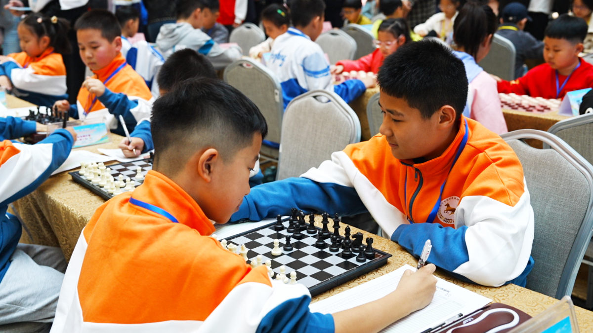首届智运会热身赛已“落子”，每周末到龙贵购物广场“棋逢对手”