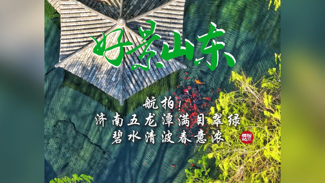 果然视频·好景山东|航拍！济南五龙潭满目翠绿，碧水清波春意浓