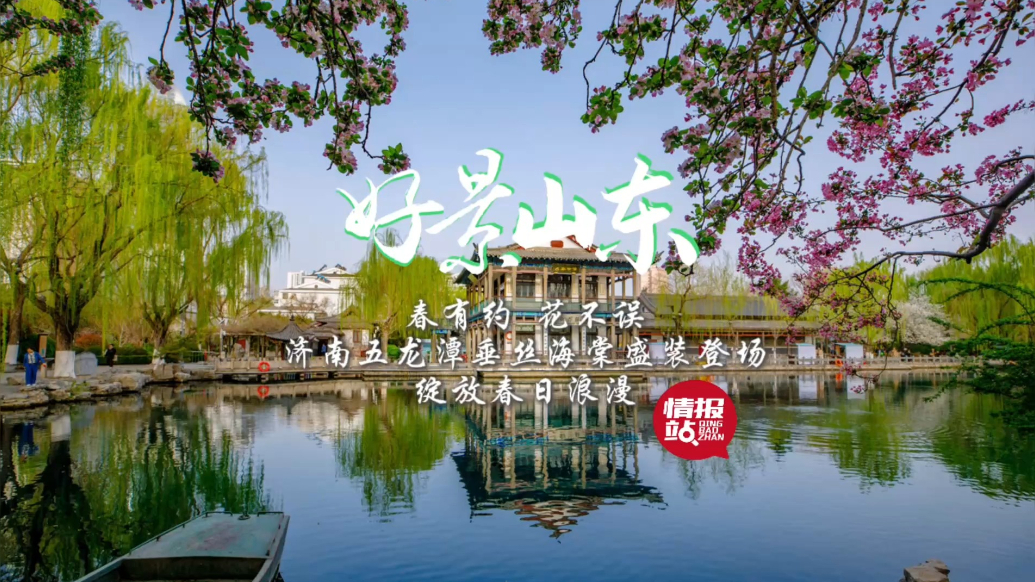 果然视频·好景山东|济南五龙潭垂丝海棠盛装登场，绽放春日浪漫