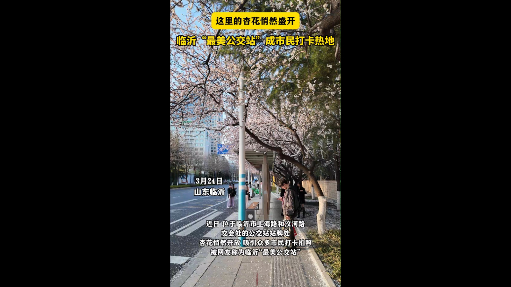 专属临沂的浪漫！“最美公交站”成市民打卡热地