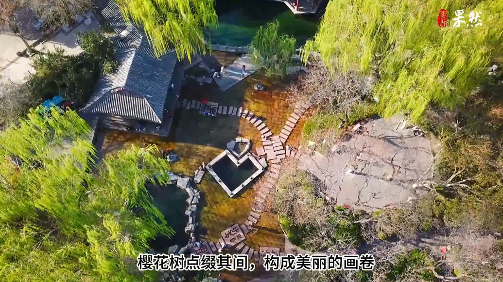 果然视频|樱花开放时节，济南五龙潭的清泉、翠柳、百花美如画卷