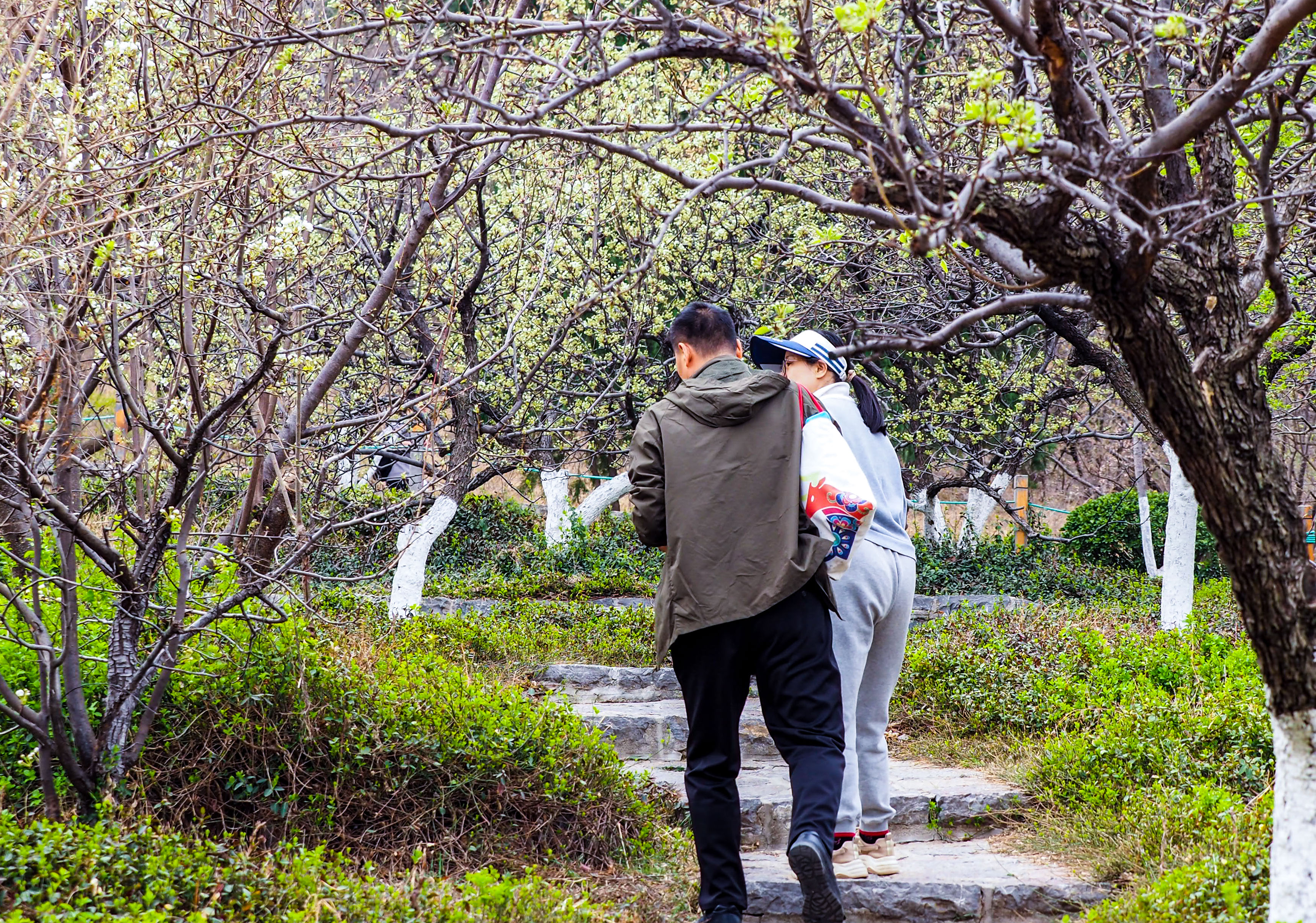 城市公园里的乡野韵味，千佛山梨园内一片雅致素静