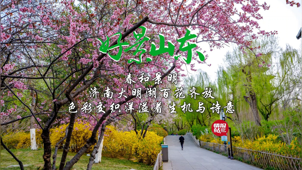 果然视频·好景山东|济南大明湖百花齐放，处处洋溢着生机与诗意