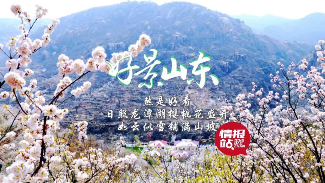 果然视频·好景山东|日照龙潭湖樱桃花盛开，如云似雪铺满山坡！