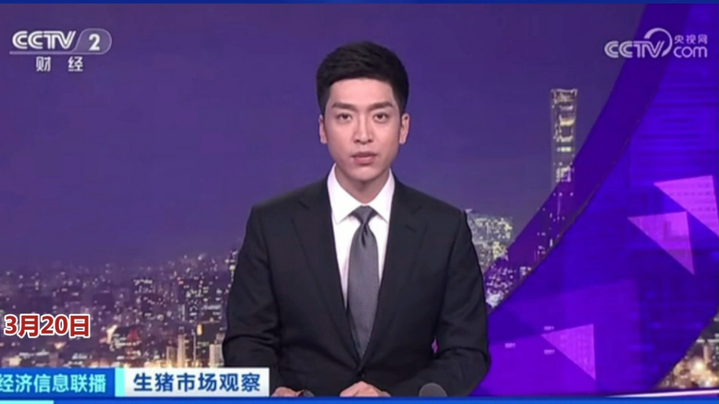 央视《经济信息联播》看德州：生猪市场供应充足，价格季节性回落
