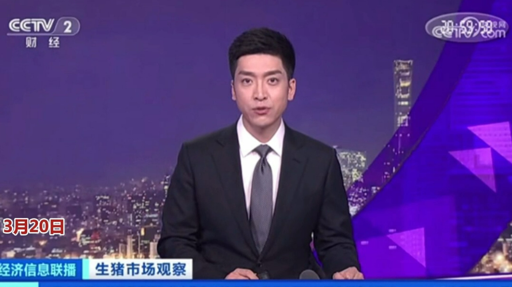 央视经济信息联播看德州：养殖户扩栏意愿强，拉动仔猪价格上涨 