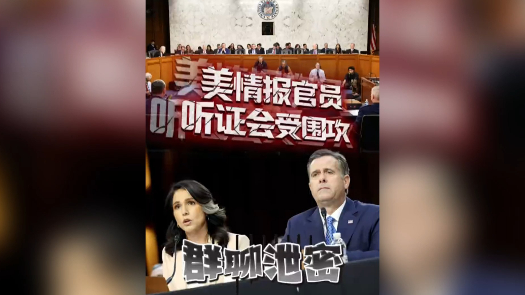 果然视频·看天下|“群聊泄密”听证会上，美情报官员遭围攻