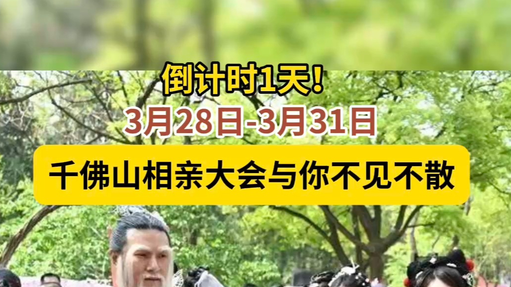 果然视频|明天见！三月三千佛山相亲会倒计时1天，想脱单就上山