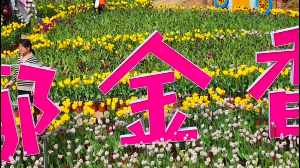 果然视频|临沂移动助力利山涧景区春日 “热游”