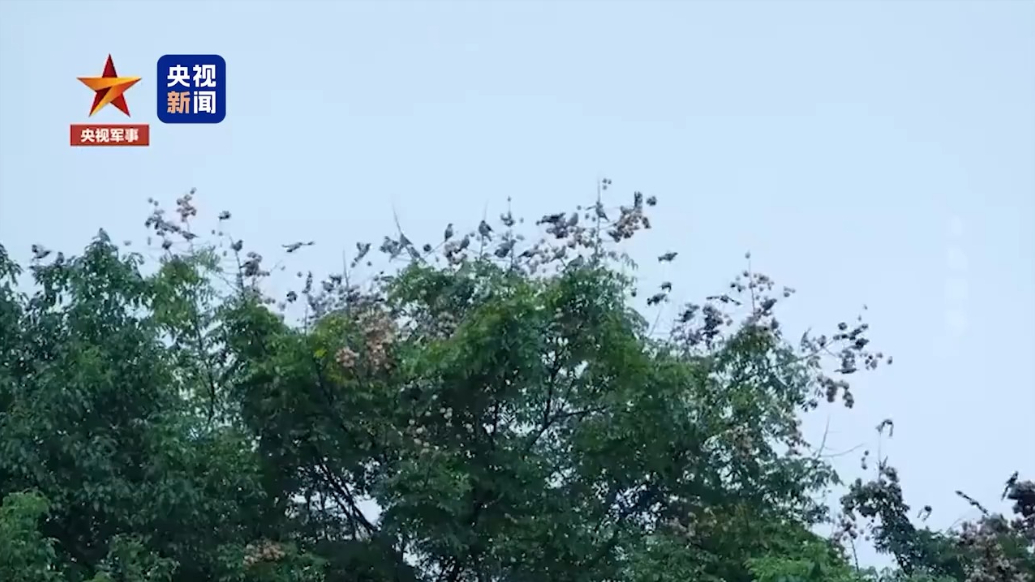 地震发生时，身处室内应该如何紧急避险？