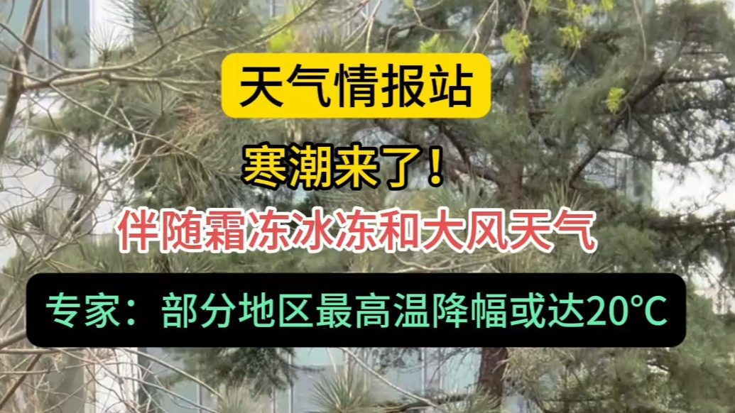 天气情报站|大降温来了！专家：部分地区最高气温降幅或达20℃