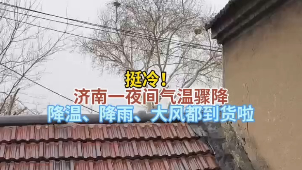 天气情报站|挺冷！济南一夜间气温骤降，降温、大风、小雨到货啦