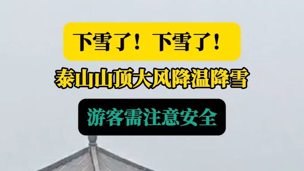 天气情报站|下雪啦！泰山山顶迎大风降温降雪，游客请注意安全