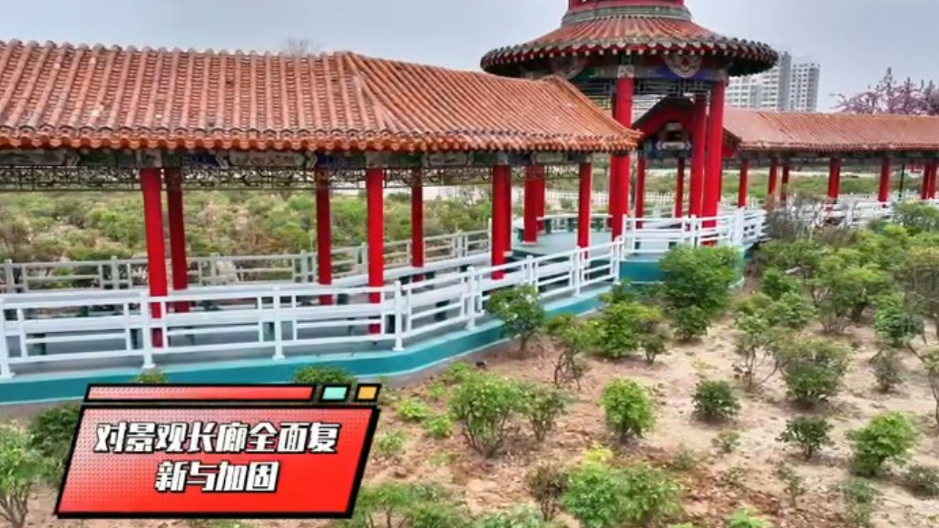 为迎接第34届菏泽国际牡丹文化旅游节，曹州百花园园区升级改造