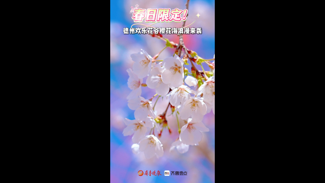 春日限定！德州欢乐花谷樱花海浪漫来袭