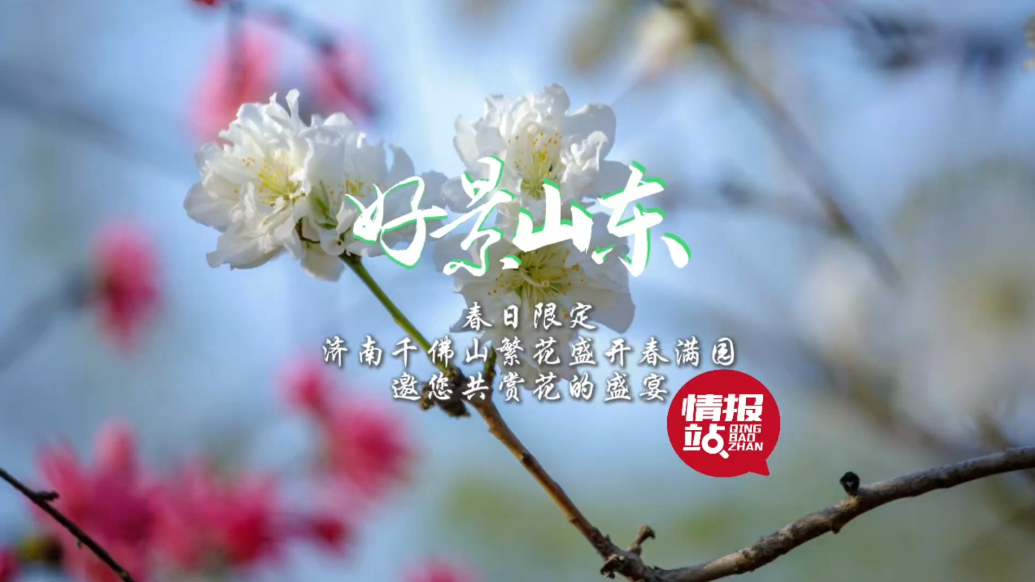 果然视频·好景山东|千佛山繁花盛开春满园，邀您共赏花的盛宴！