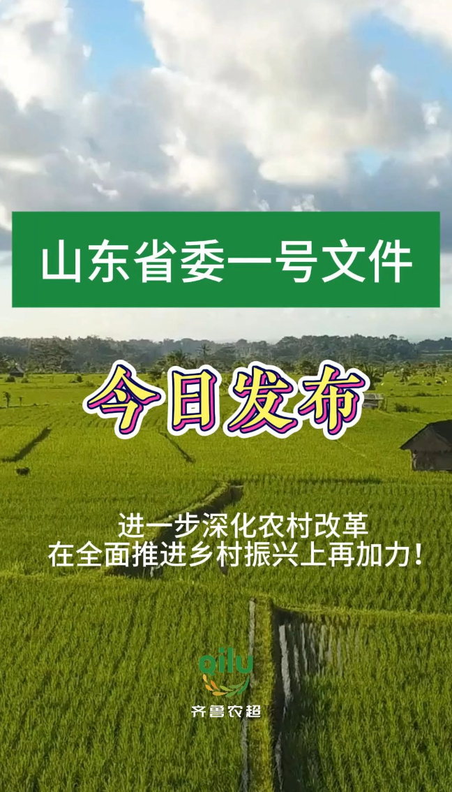 2025年山东省委一号文件发布！
