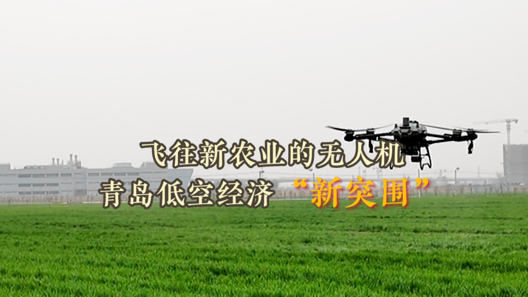 微纪录·青岛故事丨飞往新农业的无人机，青岛低空经济“新突围”