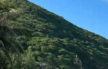 今起至清明假期中东部将现大范围20℃，北方大风频扰注意防火