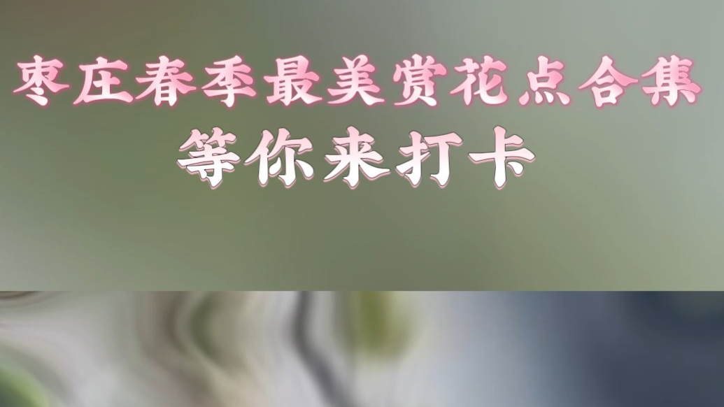 枣庄春季最美赏花点合集 等你来打卡