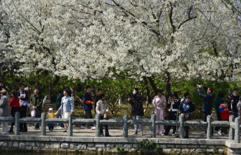 济南文旅局发布2025年清明节假期安全出行、文明旅游温馨提示