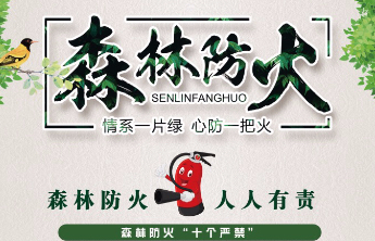 清明将至，文明祭祀，谨记森林防火“十个严禁”！