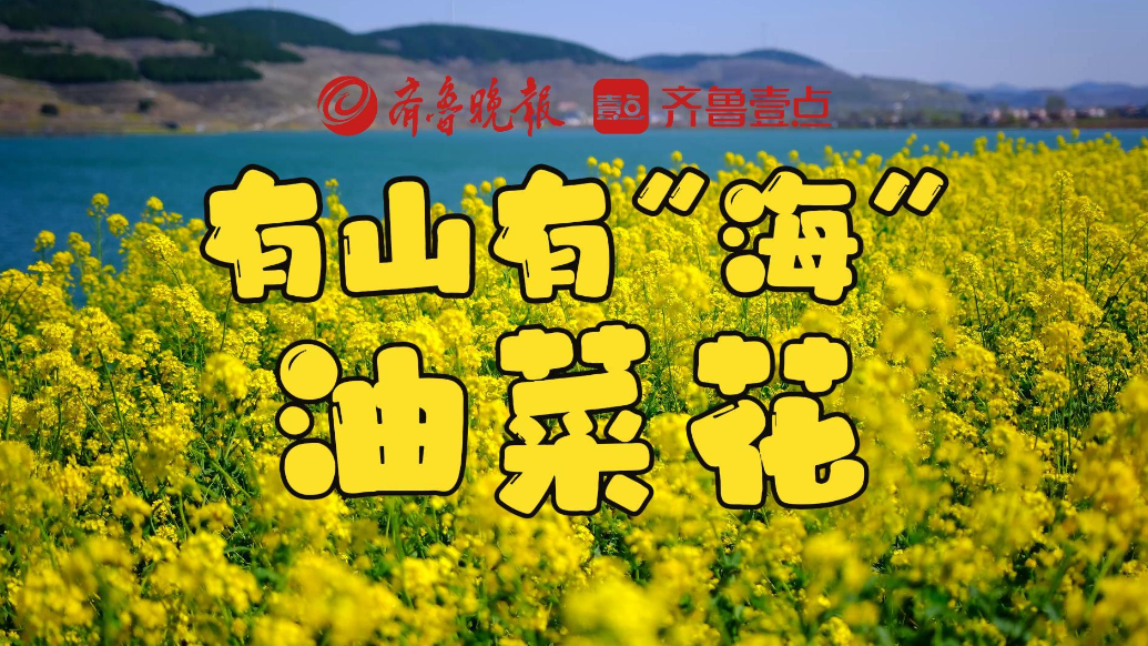 有山有“海”油菜花！周末快来枣庄这里踏青吧！